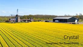  Presentation with field and stream - Audience pleasing slide deck consisting of traditional windmill with a blossoming backdrop and a  colored foreground