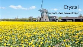  Presentation with dutch - Colorful slide deck enhanced with traditional windmill with blossoming tulips backdrop and a  colored foreground