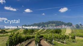  Presentation with vineyard - Slides enhanced with traditional-wine-cellars-with-vineyard background and a teal colored foreground