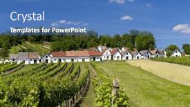  Presentation with vineyard - Presentation theme featuring traditional-wine-cellars-with-vineyard background and a teal colored foreground