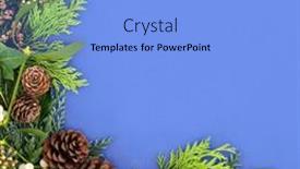  Presentation with winter border - Theme having traditional-winter-greenery-background-border background and a light blue colored foreground