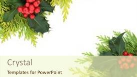  Presentation with new season - Theme featuring traditional-winter-holly-and-flora background and a cream colored foreground