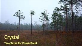 Presentation with nature - Cool new PPT layouts with trail bruksleden through the wetland backdrop and a tawny brown colored foreground