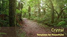  Presentation with jungle - Slide set with trail-in-lush-green-tropical and a tawny brown colored foreground