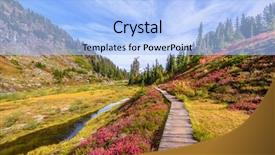  Presentation with trail - Beautiful slide deck featuring trail in mount baker visitor backdrop and a light blue colored foreground