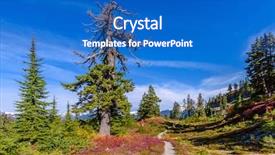 Presentation with trail - Beautiful presentation theme featuring trail in mount baker visitor backdrop and a teal colored foreground