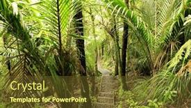  Presentation with tropical forest - Beautiful presentation featuring trail inside tropical forest backdrop and a tawny brown colored foreground