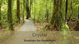  Presentation with tropical forest - Beautiful theme featuring trail inside tropical forest backdrop and a coral colored foreground