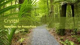  Presentation with tropical forest - Audience pleasing presentation theme consisting of trail inside tropical forest backdrop and a tawny brown colored foreground