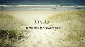  Presentation with trail - Colorful presentation enhanced with trail-leading-to-beach-scene backdrop and a soft green colored foreground