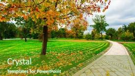  Presentation with foggy forest - Slides with day with country rural road background and a tawny brown colored foreground
