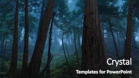  Presentation with redwood forest - Cool new PPT theme with big sur redwood forest backdrop and a wine colored foreground