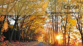  Presentation with way - Amazing theme having forest with the setting sun backdrop and a gold colored foreground