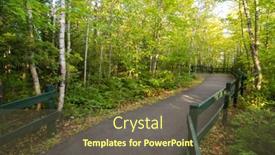  Presentation with trail - Presentation design having trail-through-the-forest background and a tawny brown colored foreground