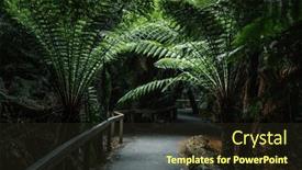  Presentation with ferns - PPT theme featuring trail-through-the-tree-ferns background and a wine colored foreground