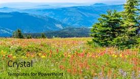  Presentation with british columbia canada - Beautiful theme featuring trail to a mountan summit in british columbia canada backdrop and a gold colored foreground