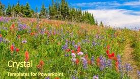  Presentation with summit - Audience pleasing PPT layouts consisting of trail to a mountan summit in british columbia canada backdrop and a tawny brown colored foreground