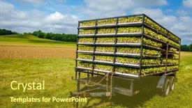  Presentation with tobacco - Audience pleasing presentation design consisting of trailer with tobacco sprouts ready backdrop and a tawny brown colored foreground