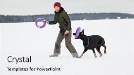  Presentation with dog park dogs plays - Theme having training and playing with dogs background and a white colored foreground