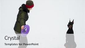  Presentation with dogs - PPT layouts enhanced with training and playing with dogs background and a white colored foreground