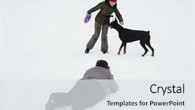  Presentation with doberman - PPT theme consisting of training and playing with dogs background and a white colored foreground