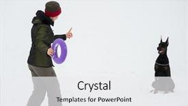  Presentation with dogs - Beautiful PPT layouts featuring training and playing with dogs backdrop and a white colored foreground