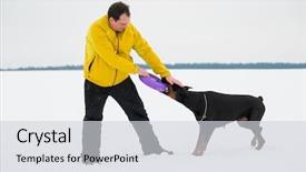  Presentation with dog park dogs plays - PPT layouts having training and playing with dogs background and a light gray colored foreground