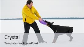  Presentation with doberman - Audience pleasing slide deck consisting of training and playing with dogs backdrop and a light gray colored foreground