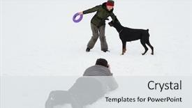  Presentation with doberman - Slide deck featuring training and playing with dogs background and a light gray colored foreground