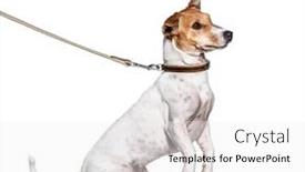  Presentation with russell - PPT theme enhanced with training-process-with-a-jack background and a white colored foreground