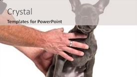  Presentation with training - Amazing PPT layouts having training-session-with-a-french backdrop and a lemonade colored foreground