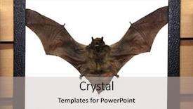  Presentation with dried food - Audience pleasing PPT theme consisting of traits - genuine dead and dried vampire backdrop and a mint green colored foreground