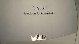  Presentation with contemplating - Colorful theme enhanced with trajectory career - young businessman contemplating a decision backdrop and a light gray colored foreground