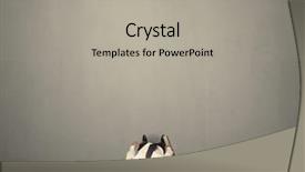  Presentation with contemplating - Slide deck featuring trajectory career - young businessman contemplating a decision background and a light gray colored foreground