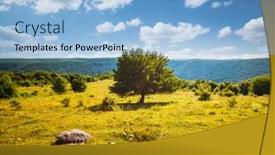  Presentation with tree river - Amazing presentation design having tranquil-green-meadow-and-lonely backdrop and a light blue colored foreground