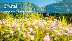  Presentation with green earth - Amazing theme having tranquil-green-meadow backdrop and a teal colored foreground