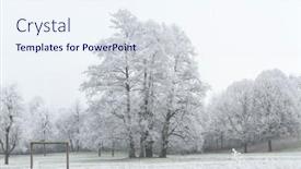  Presentation with tranquil - 