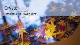  Presentation with fall leaves border - Cool new theme with tranquil pond with colorful fallen backdrop and a  colored foreground