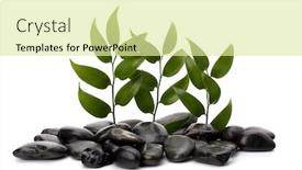  Presentation with tranquil - Presentation theme with tranquil scene green leaf and stones isolated on white background background and a blonde colored foreground