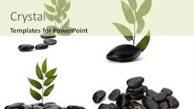  Presentation with tranquil - PPT theme having tranquil scene green leaf and stones isolated on white background background and a soft green colored foreground