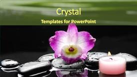  Presentation with tranquil spa - PPT layouts having tranquil-spa-scene-orchid background and a tawny brown colored foreground