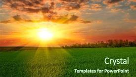  Presentation with green pastures - Presentation theme enhanced with tranquil sunset over green field background and a tawny brown colored foreground