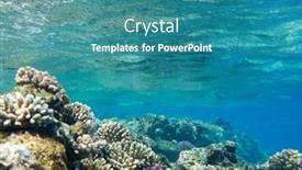  Presentation with tranquil - 