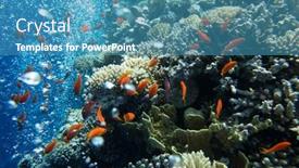  Presentation with tranquil - 