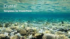  Presentation with tranquil - 