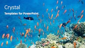  Presentation with tranquil - 