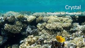  Presentation with tranquil - 