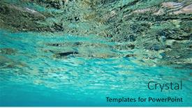  Presentation with tranquil - 