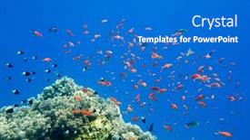  Presentation with tranquil - 