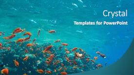  Presentation with tranquil - 